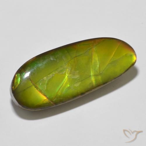 14.67 ct Multicolor Ammolite Stone, Natural Ammolite in Fancy Cabochon Shape for Sale