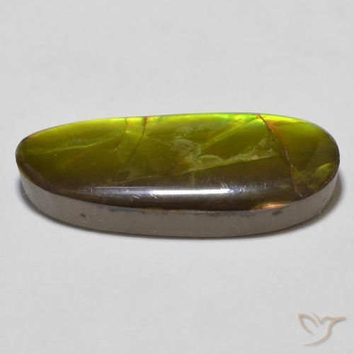 Ammolite Gemstone in 26.5 x 10.8 mm Size for Sale, Ammolite Stone in Multicolor Color