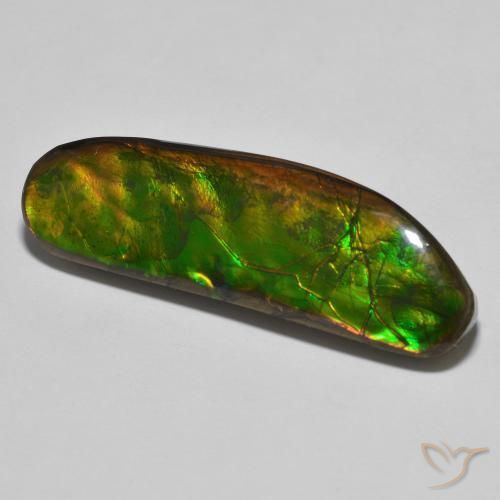 23.11 ct Multicolor Ammolite Stone, Natural Ammolite in Fancy Cabochon Shape for Sale