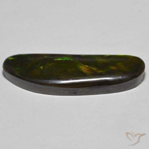 Ammolite Gemstone in 36.4 x 11.6 mm Size for Sale, Ammolite Stone in Multicolor Color