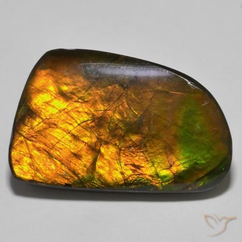 Ammolite Multicolore Fantaisie 27,8x17,8 mm du Canada, poids de 23,93 ct, pierre gemme naturelle assemblé de pureté Opaque , 1 pièce d'ammolite fancy cabochon, couleur : Multicolore, dureté de Mohs de 4 à 4, Photo A