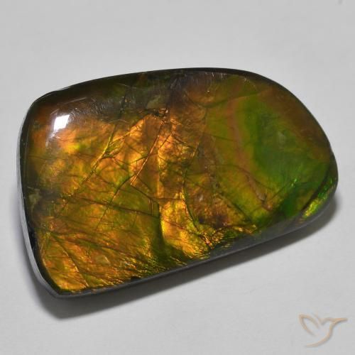 23.93 ct Multicolor Ammolite Stone, Natural Ammolite in Fancy Cabochon Shape for Sale