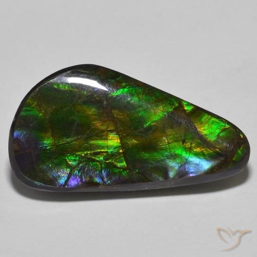 15.09ct Natural Multicolor Ammolite, Fancy, Opaque