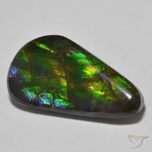 15.09 ct Multicolor Ammolite Stone, Natural Ammolite in Fancy Cabochon Shape for Sale