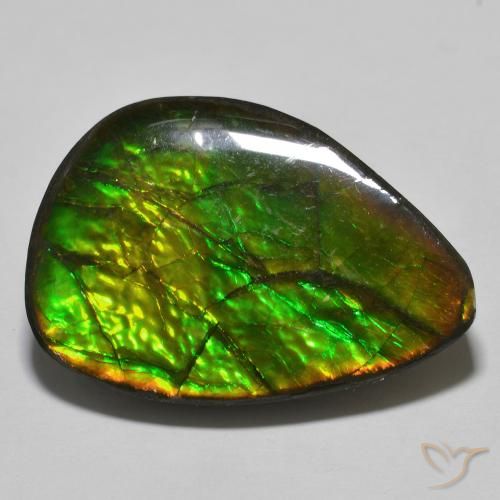 24.89 ct Multicolor Ammolite Gemstone, Ammolite Gem in Fancy Cabochon Shape for Sale.