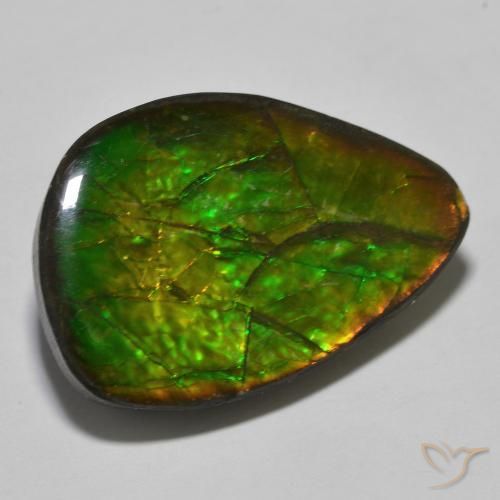 24.89 ct Multicolor Ammolite Stone, Natural Ammolite in Fancy Cabochon Shape for Sale