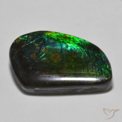 Ammolite Gemstone in 23.2 x 16.2 mm Size for Sale, Ammolite Stone in Multicolor Color