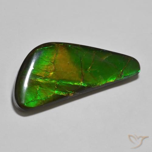 22.11ct Natural Multicolor Ammolite, Fancy, Opaque