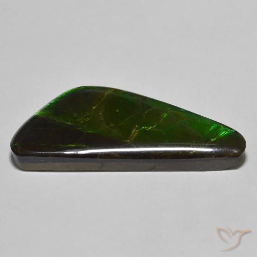 Ammolite Gemstone in 36.4 x 15.5 mm Size for Sale, Ammolite Stone in Multicolor Color