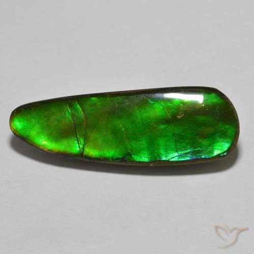 Ammolite Fantaisie en damier des États-Unis 17,83 ct, dimension 33x11,2 mm, pureté Opaque , pierre gemme naturelle assemblé, 1 pièce d'ammolite de couleur Multicolore, dureté Mohs de 4 à 4, Photo A