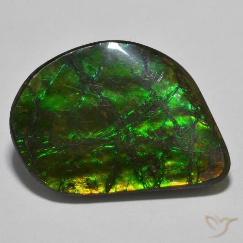 Ammolite Multicolore fancy cabochon 26,7x19,4 mm du Canada, poids de 21,4 ct, pierre gemme naturelle assemblé de pureté Opaque , 1 pièce d'ammolite, couleur : Multicolore, dureté de Mohs de 4 à 4, Photo A