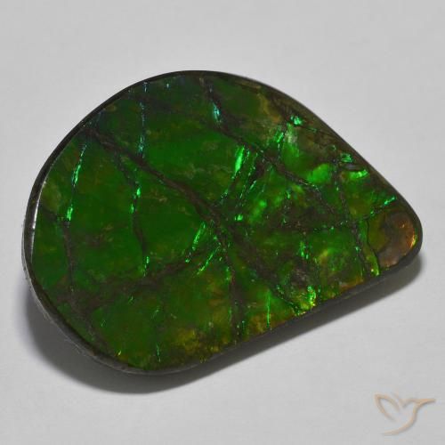 21.40 ct Multicolor Ammolite Stone, Natural Ammolite in Fancy Cabochon Shape for Sale