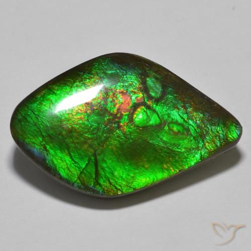 19.69 ct Multicolor Ammolite Stone, Natural Ammolite in Fancy Cabochon Shape for Sale