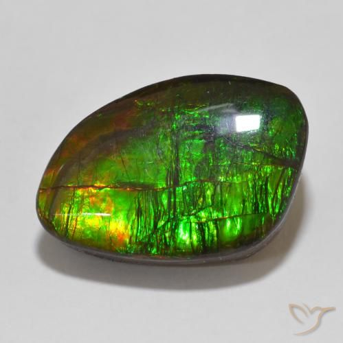 13.47ct Natural Multicolor Ammolite, Fancy, Opaque