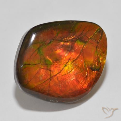 15.32 ct Multicolor Ammolite Stone, Natural Ammolite in Fancy Cabochon Shape for Sale