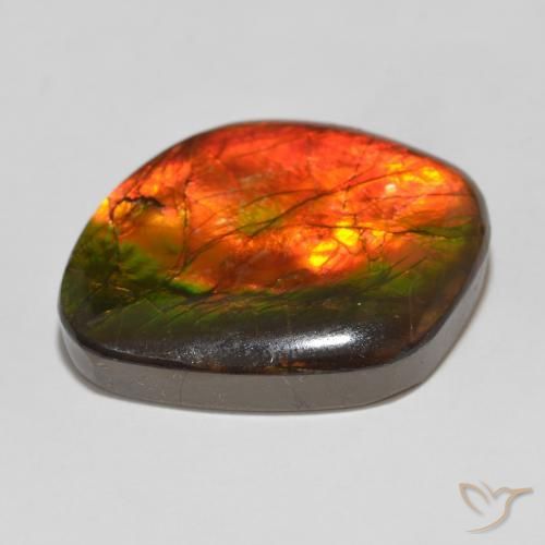 Ammolite Gemstone in 23.1 x 19.1 mm Size for Sale, Ammolite Stone in Multicolor Color
