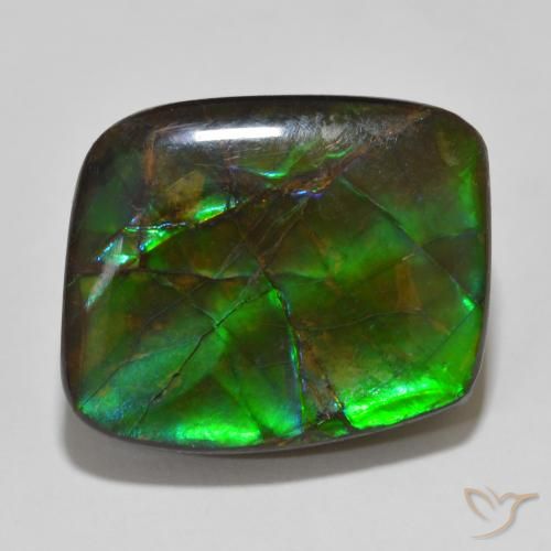 14.81ct Natural Multicolor Ammolite, Fancy, Opaque