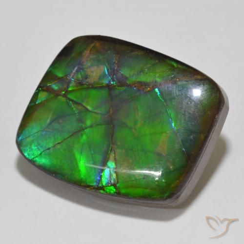 14.81 ct Multicolor Ammolite Stone, Natural Ammolite in Fancy Cabochon Shape for Sale