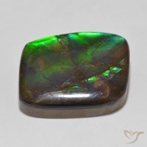 Ammolite Gemstone in 18.7 x 15.7 mm Size for Sale, Ammolite Stone in Multicolor Color