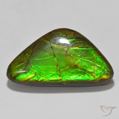 15.46ct Natural Multicolor Ammolite, Fancy, Opaque