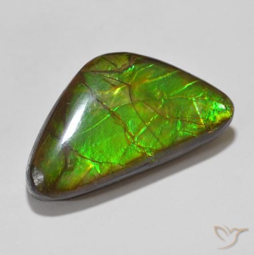 15.46 ct Multicolor Ammolite Stone, Natural Ammolite in Fancy Cabochon Shape for Sale