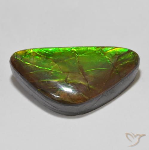 Ammolite Gemstone in 25 x 13.6 mm Size for Sale, Ammolite Stone in Multicolor Color