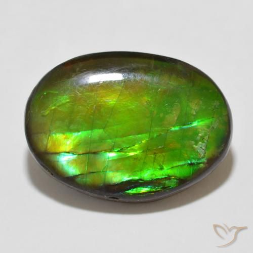 12.26ct Natural Multicolor Ammolite, Oval, Opaque