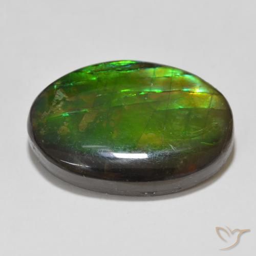 Ammolite Gemstone in 20.9 x 15 mm Size for Sale, Ammolite Stone in Multicolor Color