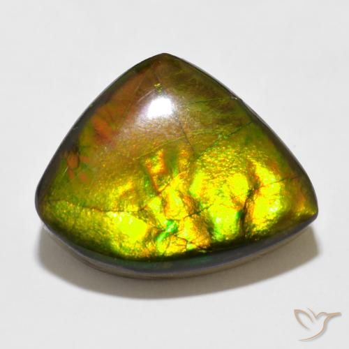 11.47ct Natural Multicolor Ammolite, Fancy, Opaque