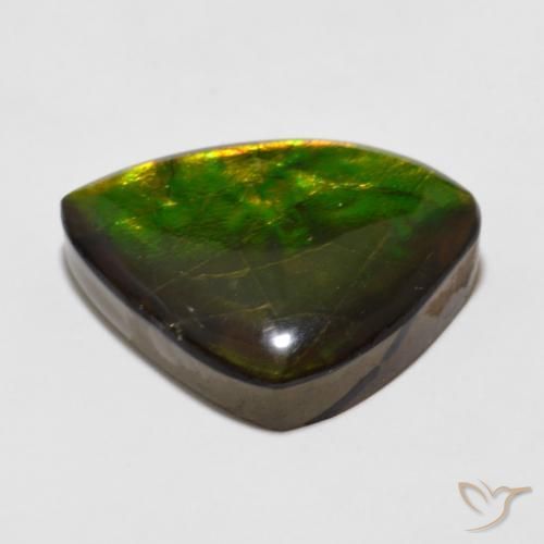 Ammolite Gemstone in 19.7 x 15.7 mm Size for Sale, Ammolite Stone in Multicolor Color