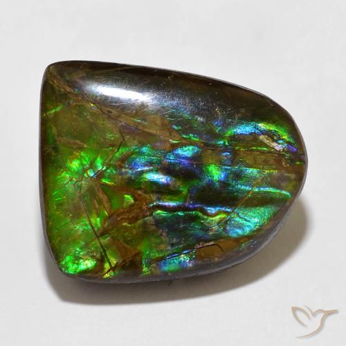 15.49ct Natural Multicolor Ammolite, Fancy, Opaque