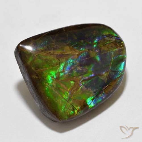 15.49 ct Multicolor Ammolite Stone, Natural Ammolite in Fancy Cabochon Shape for Sale