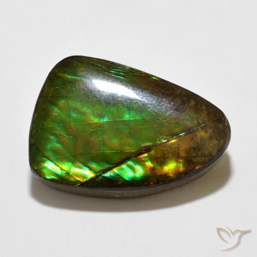 Ammolite Fantaisie en damier des États-Unis 10,67 ct, dimension 18,7x12,7 mm, pureté Opaque , pierre gemme naturelle assemblé, 1 pièce d'ammolite de couleur Multicolore, dureté Mohs de 4 à 4, Photo A