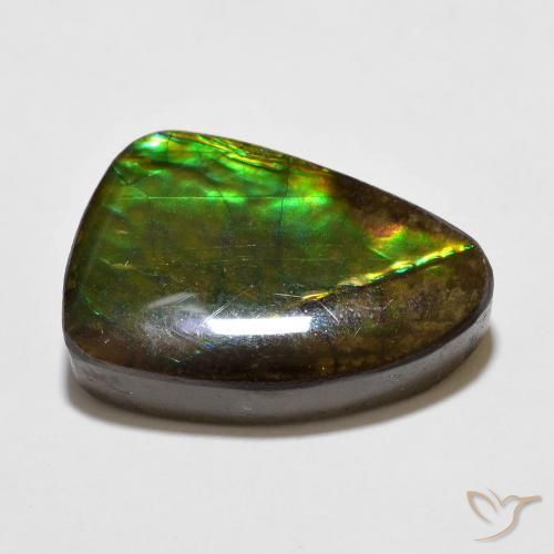 Ammolite Gemstone in 18 x 13 mm (calibrated) Size for Sale, Ammolite Stone in Multicolor Color