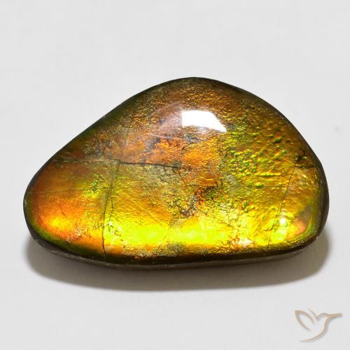 12.35ct Natural Multicolor Ammolite, Fancy, Opaque