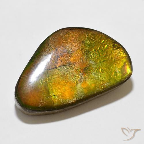 12.35 ct Multicolor Ammolite Stone, Natural Ammolite in Fancy Cabochon Shape for Sale