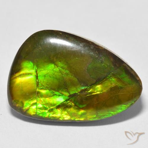 17.22ct Natural Multicolor Ammolite, Fancy, Opaque