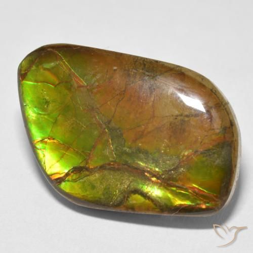 16.70 ct Multicolor Ammolite Stone, Natural Ammolite in Fancy Cabochon Shape for Sale