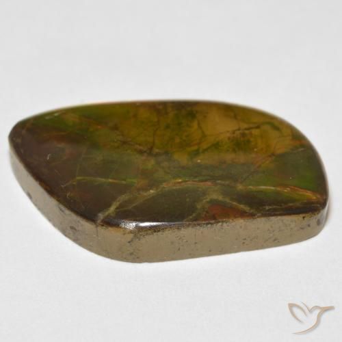 Ammolite Gemstone in 25.8 x 16.8 mm Size for Sale, Ammolite Stone in Multicolor Color