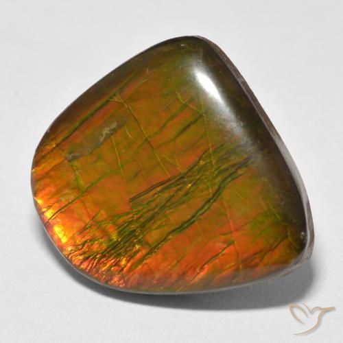17.88 ct Multicolor Ammolite Stone, Natural Ammolite in Fancy Cabochon Shape for Sale