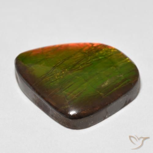 Ammolite Gemstone in 19.8 x 18.9 mm Size for Sale, Ammolite Stone in Multicolor Color
