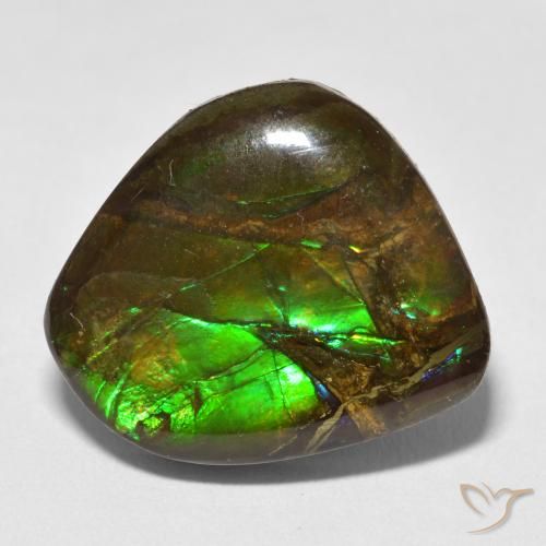 13.52ct Natural Multicolor Ammolite, Fancy, Opaque