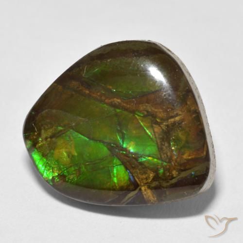 13.52 ct Multicolor Ammolite Stone, Natural Ammolite in Fancy Cabochon Shape for Sale