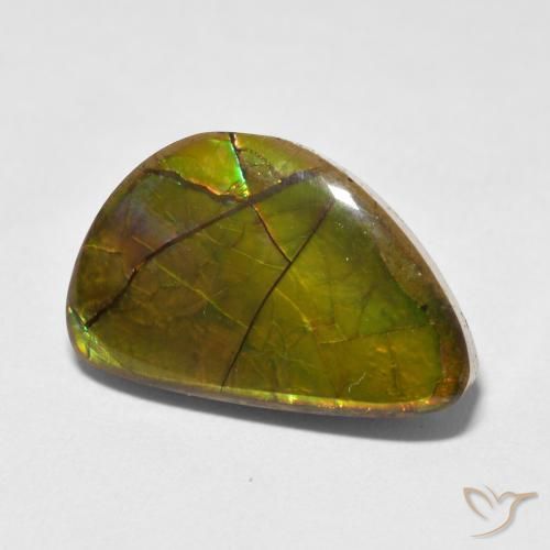 11.63 ct Multicolor Ammolite Stone, Natural Ammolite in Fancy Cabochon Shape for Sale