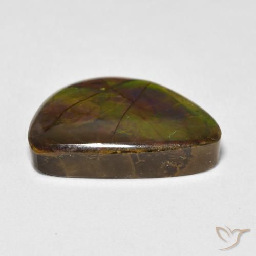 Ammolite Gemstone in 19.8 x 12.7 mm Size for Sale, Ammolite Stone in Multicolor Color
