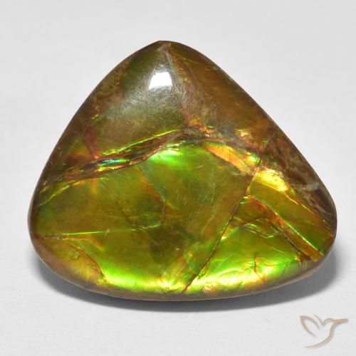 13.26ct Natural Multicolor Ammolite, Fancy, Opaque