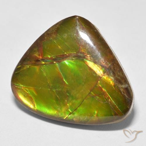 13.26 ct Multicolor Ammolite Stone, Natural Ammolite in Fancy Cabochon Shape for Sale