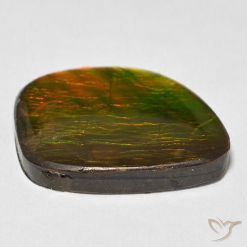 Ammolite Gemstone in 22.6 x 17.3 mm Size for Sale, Ammolite Stone in Multicolor Color