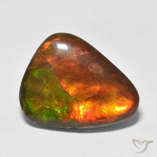 13.25ct Natural Multicolor Ammolite, Fancy, Opaque