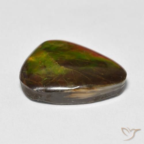 Ammolite Gemstone in 20 x 15 mm (calibrated) Size for Sale, Ammolite Stone in Multicolor Color